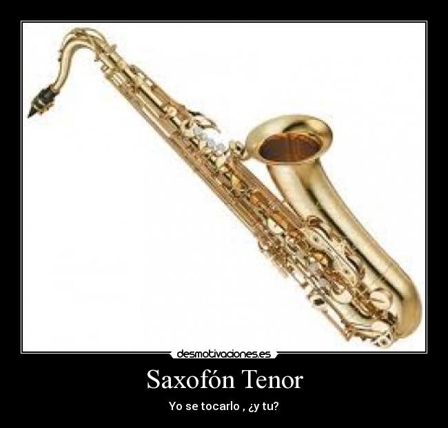 Saxofón Tenor - Yo se tocarlo , ¿y tu?