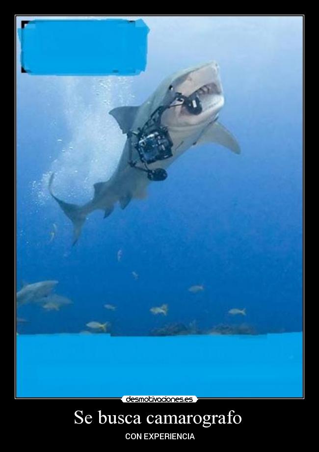 Se busca camarografo -