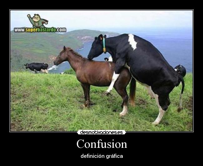 Confusion -