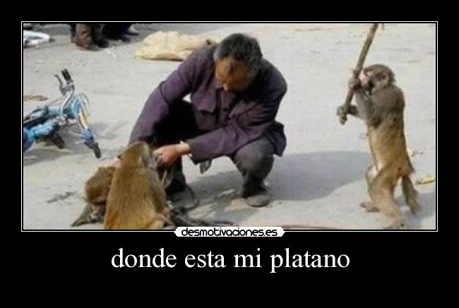 donde esta mi platano - 