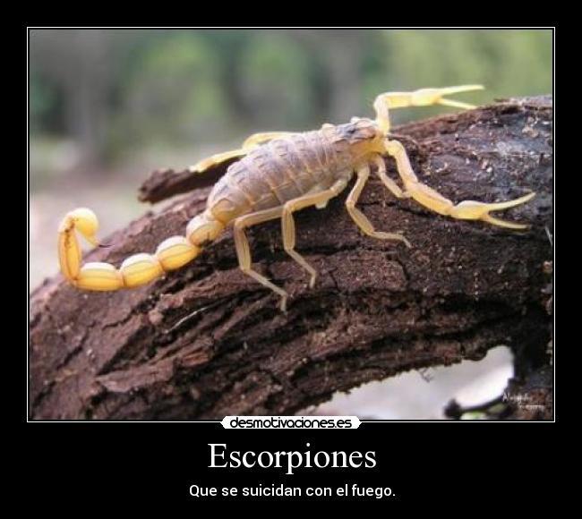 carteles dfgr desmotivaciones