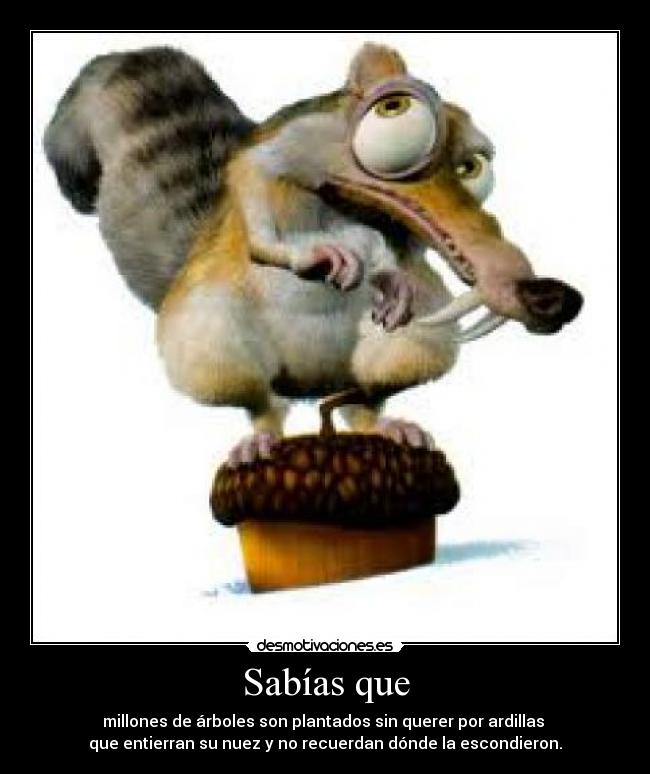 carteles millones arboles son plantados sin querer por ardillas que entierran sus nueces recuerdan desmotivaciones