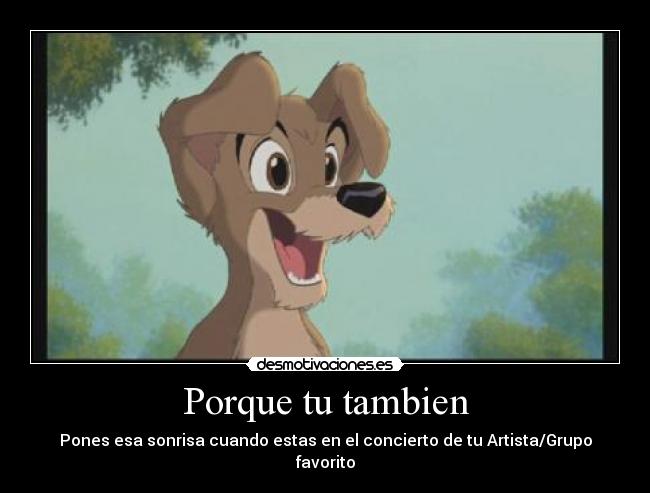 Porque tu tambien -