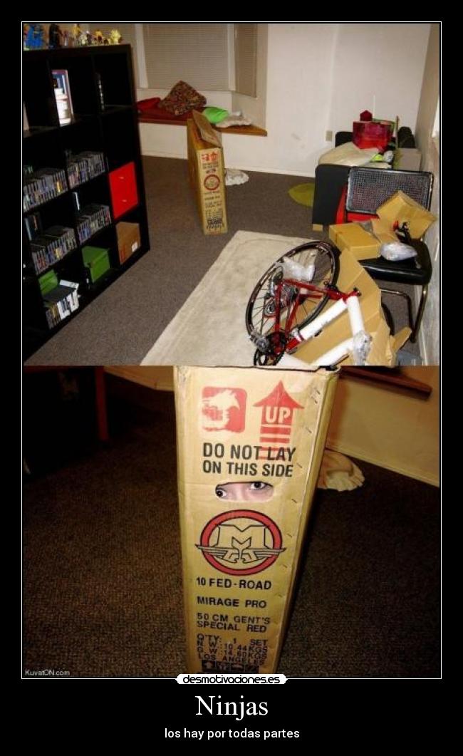 Ninjas - los hay por todas partes
