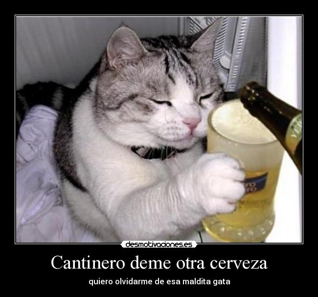 Cantinero deme otra cerveza -
