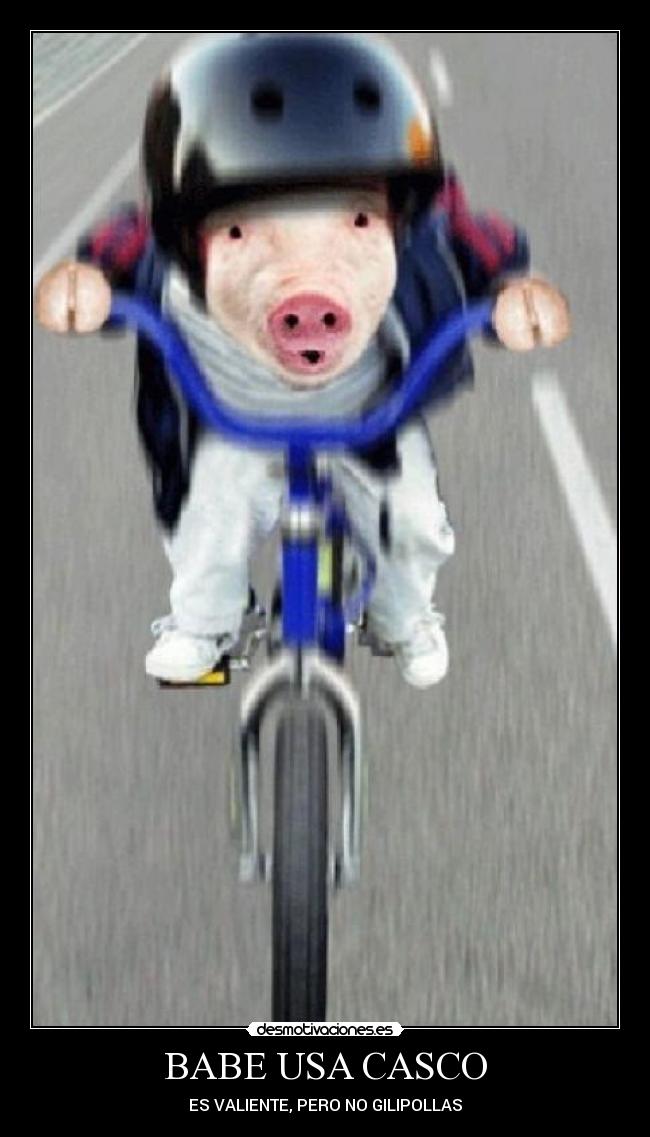 BABE USA CASCO -