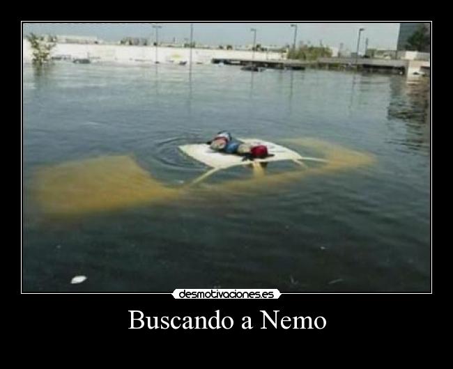 carteles buscando nemo desmotivaciones