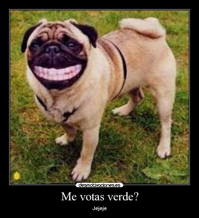 Me votas verde? - Jejeje