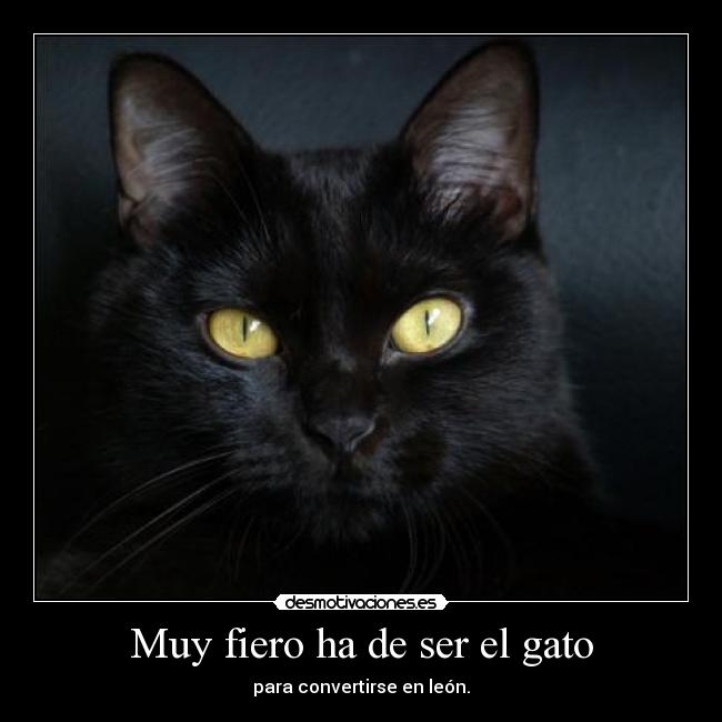 Muy fiero ha de ser el gato - 