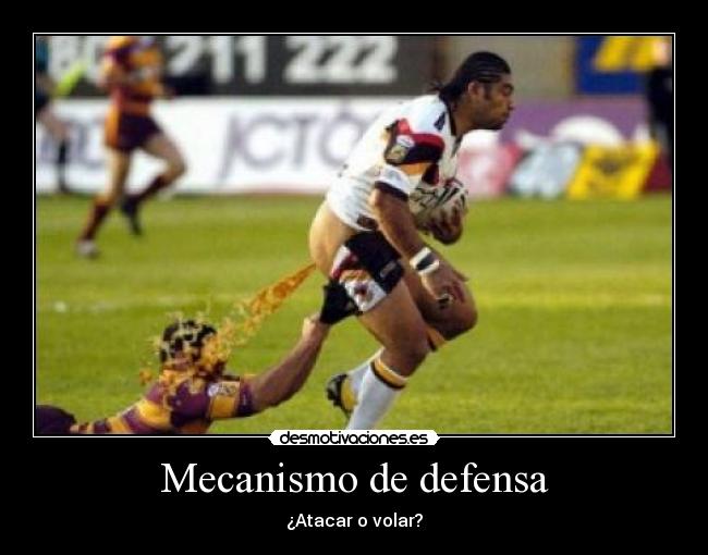 Mecanismo de defensa -