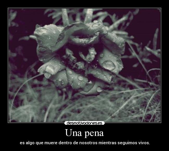 Una pena - es algo que muere dentro de nosotros mientras seguimos vivos.