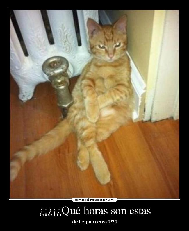 ¿¡¿¡¿Qué horas son estas -