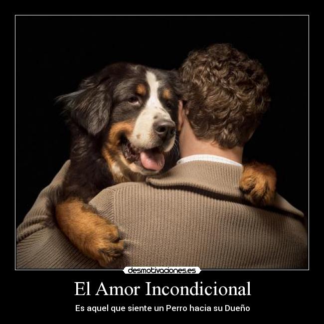 El Amor Incondicional - 