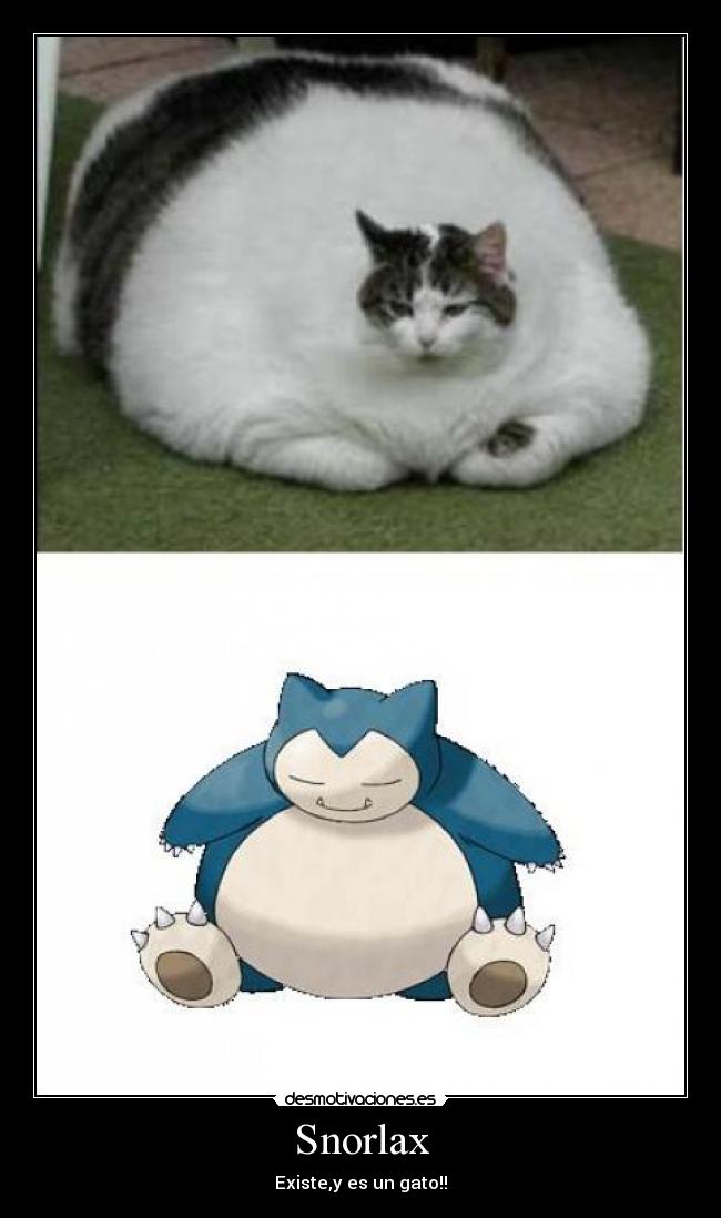 carteles snorlax gatosexiste pokemon desmotivaciones