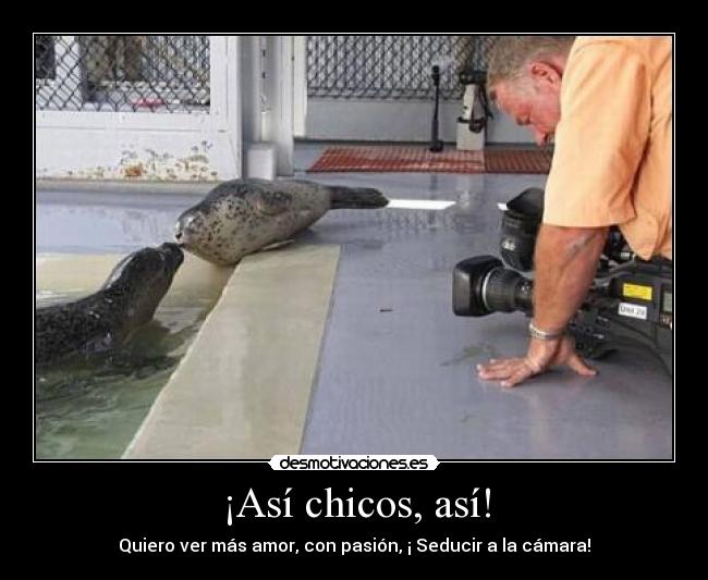 ¡Así chicos, así! - 