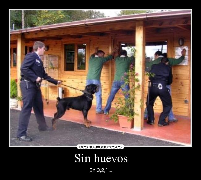 Sin huevos - En 3,2,1...