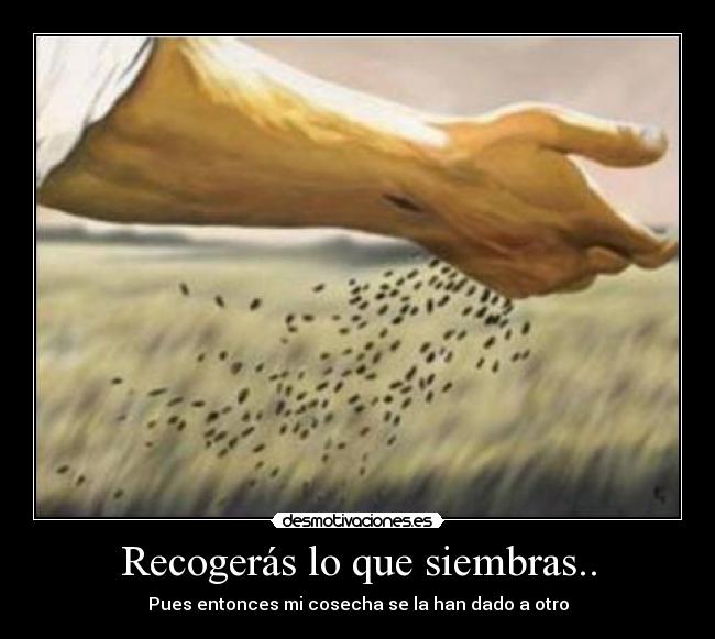 carteles h2321 desmotivaciones