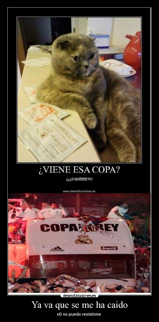 Ya va que se me ha caido - xD no puedo resistirme