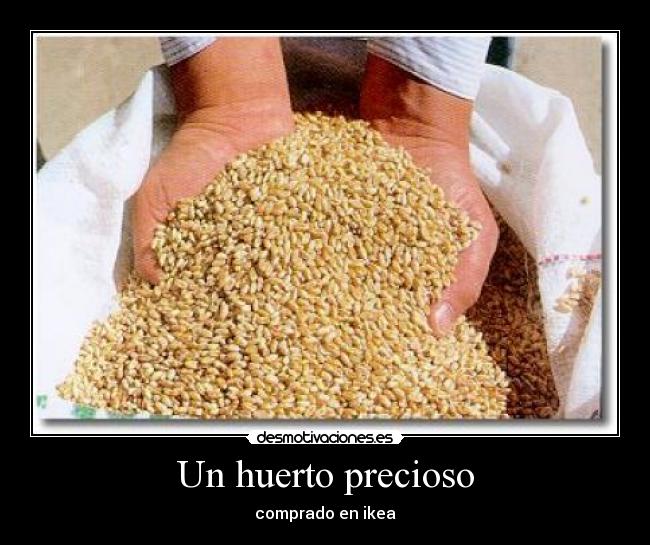 Un huerto precioso -