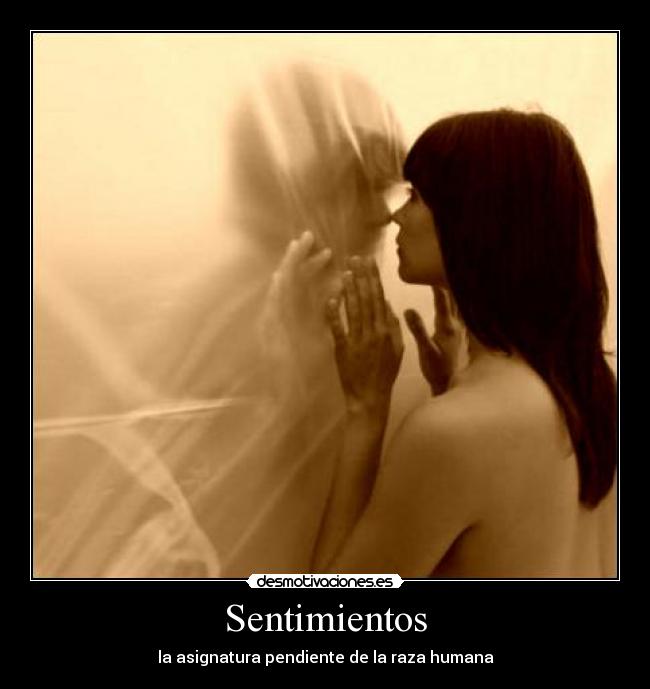 carteles sentimientos smax desmotivaciones