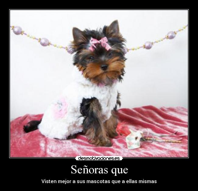 carteles lorena95 desmotivaciones