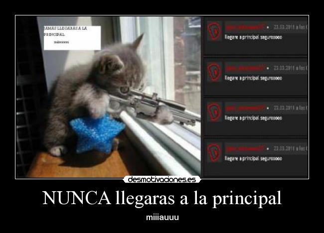 NUNCA llegaras a la principal - miiiauuu