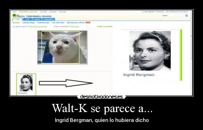 Walt-K se parece a... - Ingrid Bergman, quien lo hubiera dicho