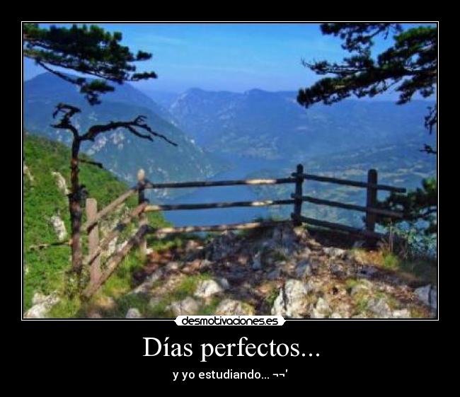 Días perfectos... -