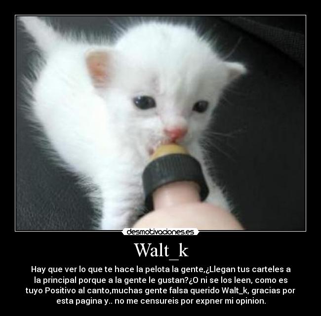 Walt_k -