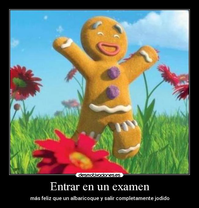Entrar en un examen - más feliz que un albaricoque y salir completamente jodido