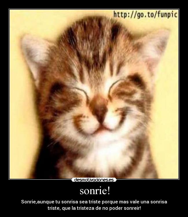 carteles sonrie desmotivaciones