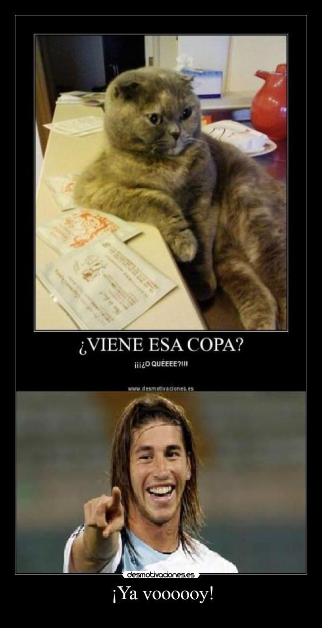 ¡Ya voooooy! - 