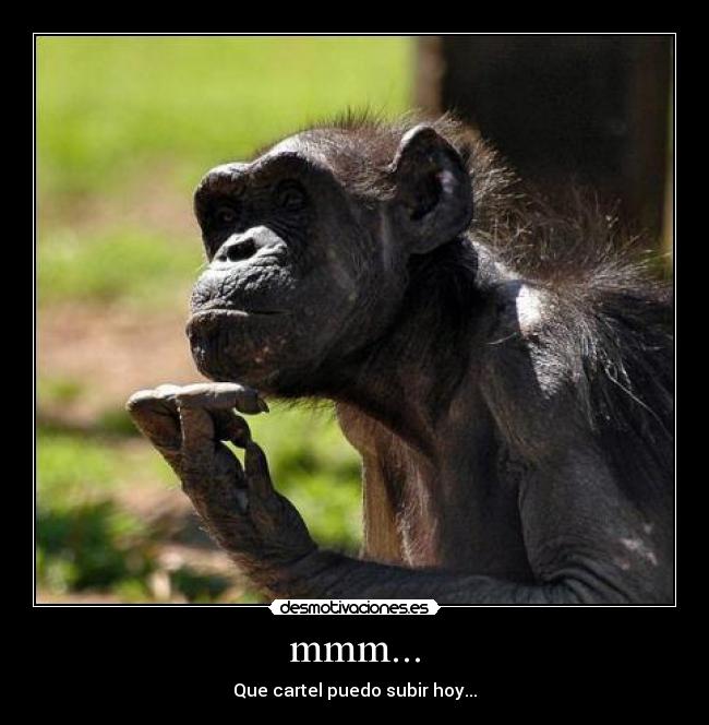 mmm... - Que cartel puedo subir hoy...