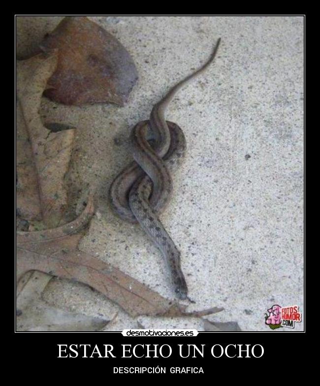 ESTAR ECHO UN OCHO - DESCRIPCIÓN GRAFICA