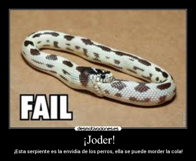 ¡Joder! - ¡Esta serpiente es la envidia de los perros, ella se puede morder la cola!