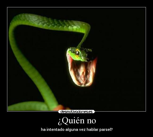 carteles serpiente hablar parsel idioma serpientes intentar verde negro rosa blanco amarillo desmotivaciones