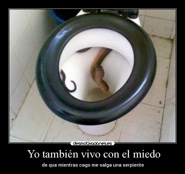 Yo también vivo con el miedo - de que mientras cago me salga una serpiente