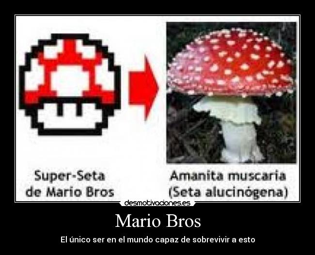 Mario Bros - 