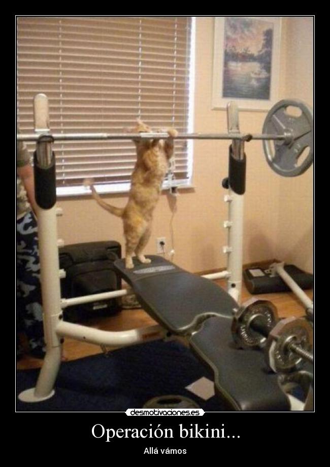 Operación bikini... - Allá vámos