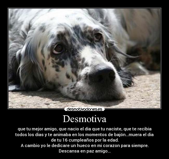 Desmotiva -