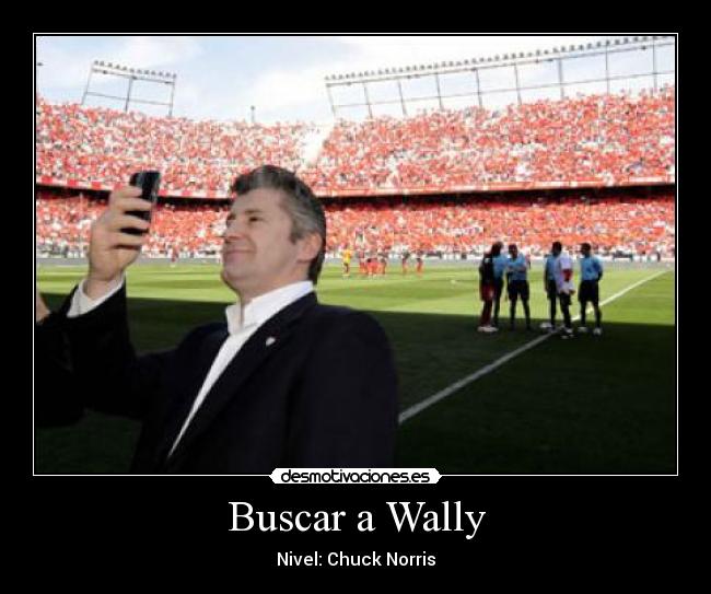 Buscar a Wally - 
