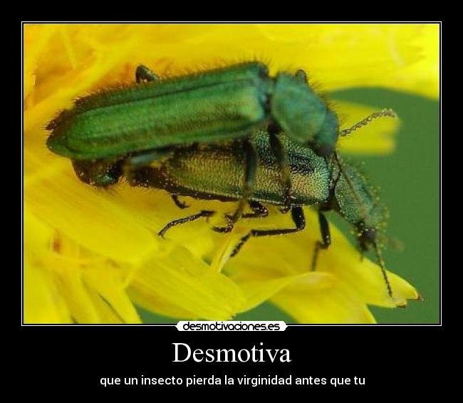 Desmotiva - 