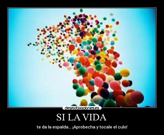 SI LA VIDA -