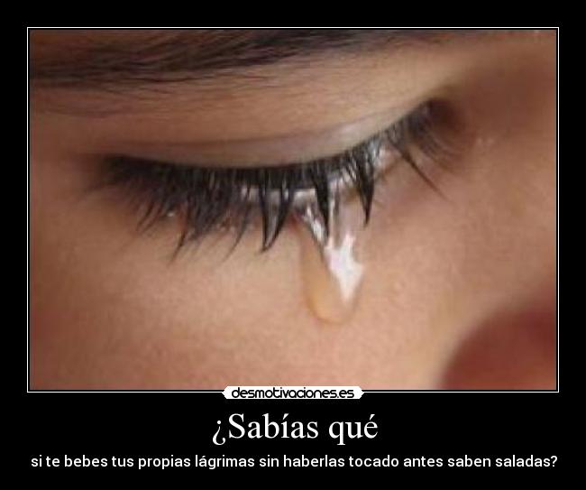 ¿Sabías qué - si te bebes tus propias lágrimas sin haberlas tocado antes saben saladas?