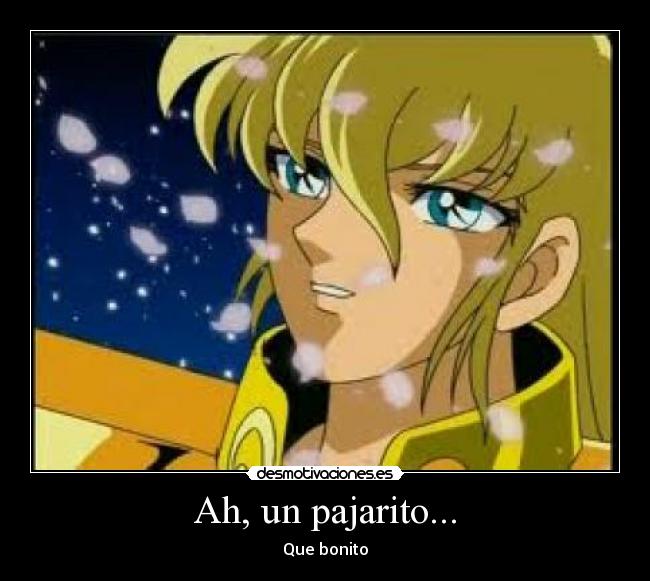 Ah, un pajarito... - 