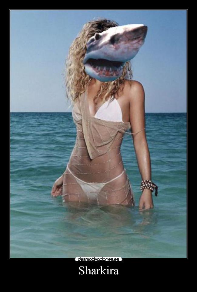 Sharkira - 