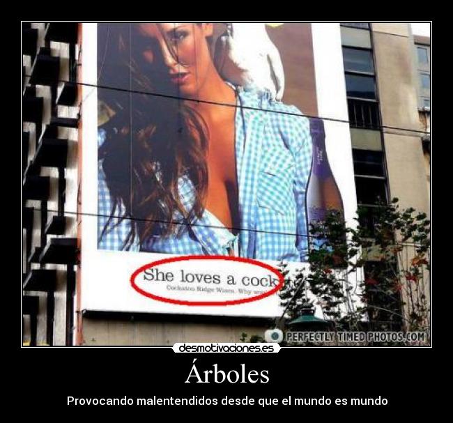 carteles cock desmotivaciones