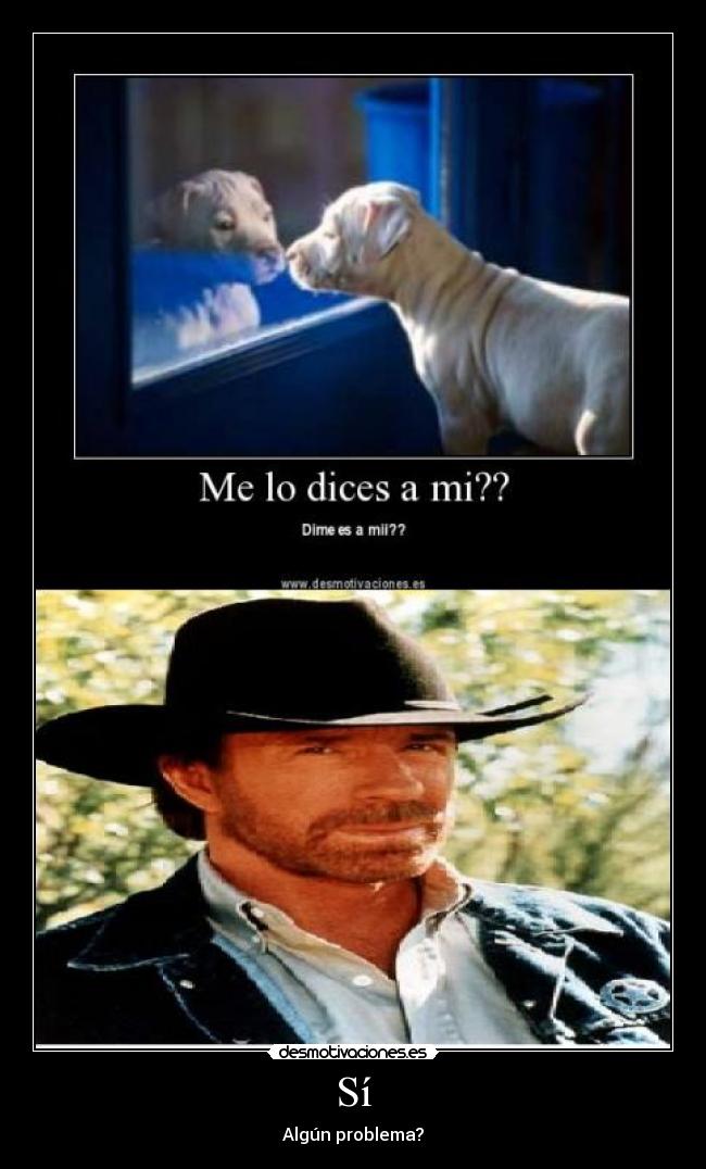 Sí - Algún problema?