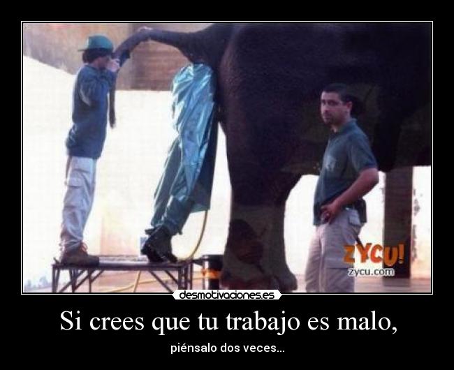 carteles trabajo trabajo malo elefante caca culo crisis chucknorris98 walt_k principal desmotivaciones