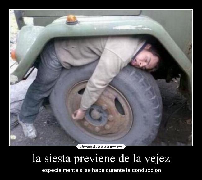 la siesta previene de la vejez - especialmente si se hace durante la conduccion